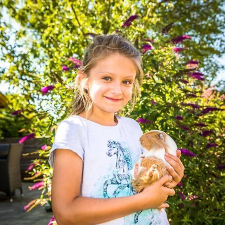 아파트 Motzenhof - Stadtnaehe Salzburg - Modernes Bauernhoferlebnis Inklusive 아드네트