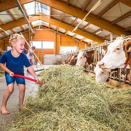 Apartament Motzenhof - Stadtnaehe Salzburg - Modernes Bauernhoferlebnis Inklusive Adnet