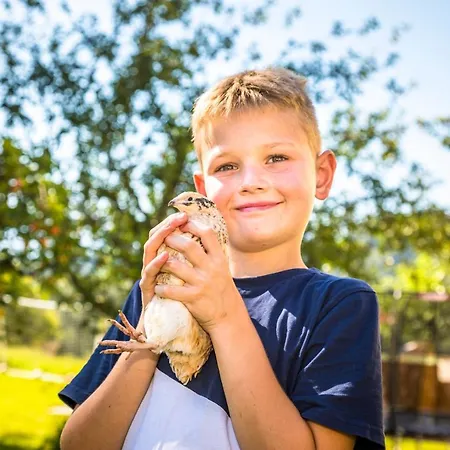Motzenhof - Stadtnaehe Salzburg - Modernes Bauernhoferlebnis Inklusive 아드네트