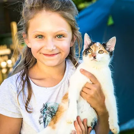 Motzenhof - Stadtnaehe Salzburg - Modernes Bauernhoferlebnis Inklusive アードネット